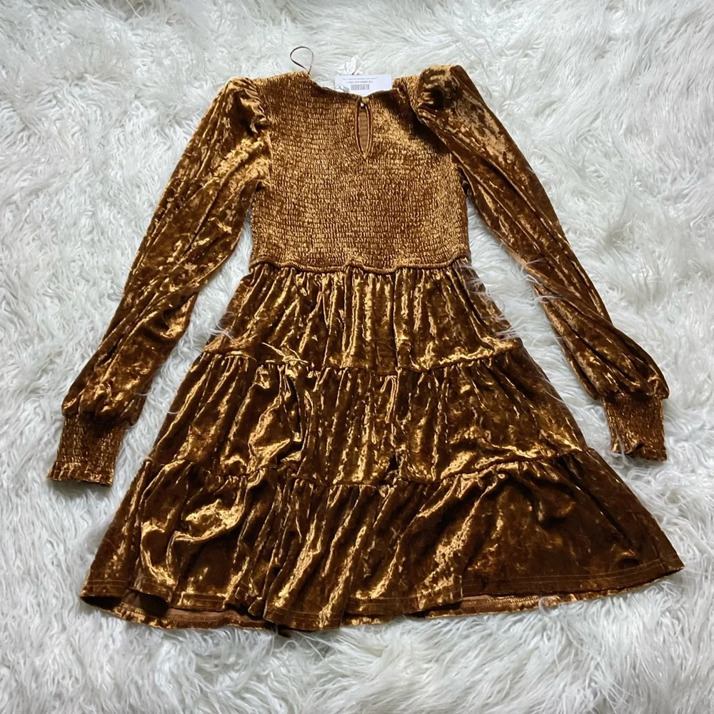 NWT Baltic Born Kele Crushed Velvet Mini Dress in Light Copper - Picture 5 of 5